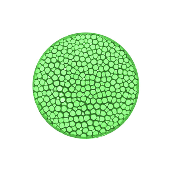 0044a1a0ff0241cbb02c5e032385d213