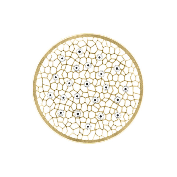 d81930f2f1314da6a4eb4e4dd9202925