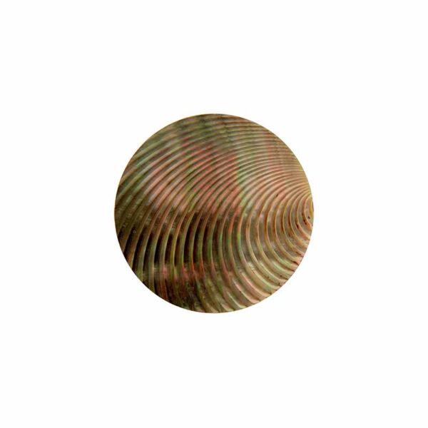 b7d13a0715ff4a29b2bf980d923f9ca1