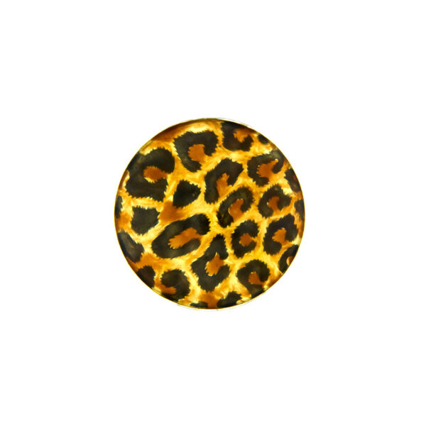 f118aec99c6449b5ab01d902c1338f60